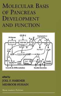 Molecular Basis of Pancreas Development and Function