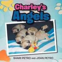 Charley's Angel