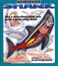 Uncover a Shark [With a Three-Dimensional Model of a Shark]