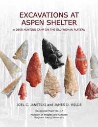 Excavations at Aspen Shelter