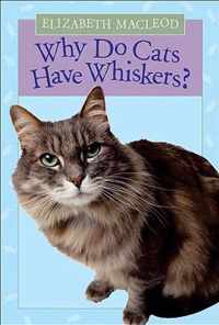 Why Do Cats Have Whiskers?