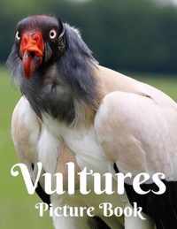 Vultures Picture Book
