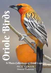 Oriole Birds Picture Book A Photo Collections of Oriole's species