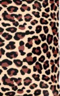 Leopard Sir Michael Designer Writing Drawing Journal