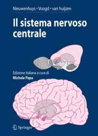 Il sistema nervoso centrale