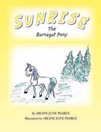 Sunrise the Barnegat Pony