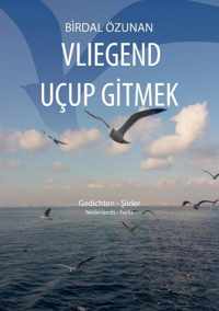 Vliegend uçup gitmek