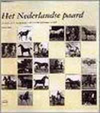 Het Nederlandse paard