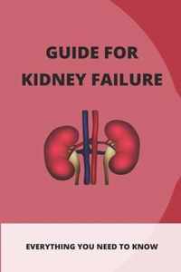 Guide For Kidney Failure: Everything You Need To Know
