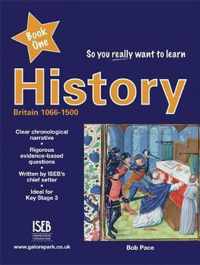 So You Really Want to Learn History