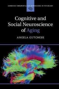 Cognitive and Social Neuroscience of Aging