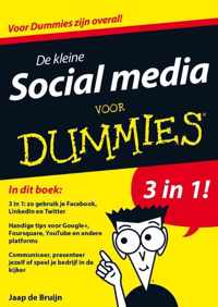 De kleine social media voor Dummies