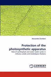 Protection of the photosynthetic apparatus
