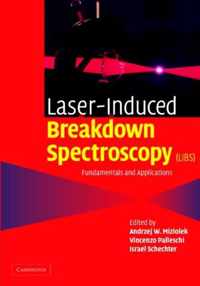 Laser Induced Breakdown Spectroscopy