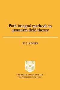 Path Integral Methods in Quantum Field Theory