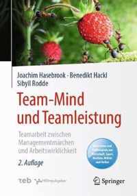 Team-Mind Und Teamleistung