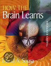 How The Brain Learns