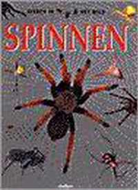 Spinnen