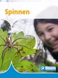 Mini Informatie 443 -   Spinnen