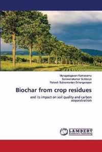 Biochar from crop residues