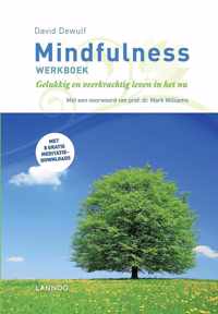 Mindfulness werkboek