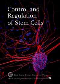 Control and Regulation of Stem Cells