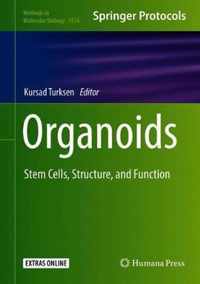 Organoids