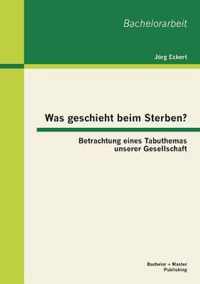 Was geschieht beim Sterben? Betrachtung eines Tabuthemas unserer Gesellschaft