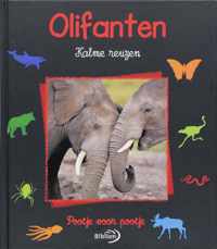 Olifanten