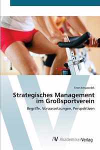 Strategisches Management im Grosssportverein