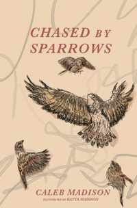Chased By Sparrows