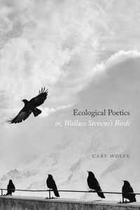 Ecological Poetics; or, Wallace Stevenss Birds