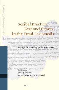Studies on the Texts of the Desert of Judah 130 -   Scribal Practice, Text and Canon in the Dead Sea Scrolls