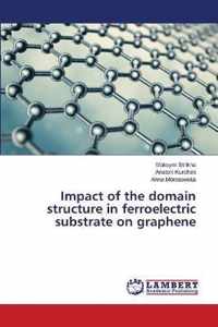 Impact of the domain structure in ferroelectric substrate on graphene