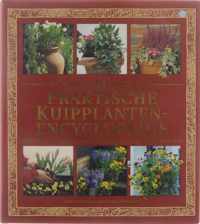 De praktische kuipplantenencyclopedie