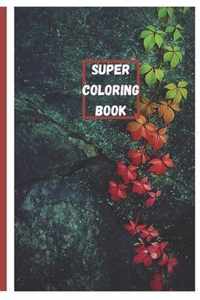 Super Coloring Book