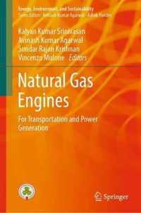 Natural Gas Engines