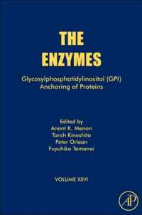 Glycosylphosphatidylinositol (GPI) Anchoring of Proteins