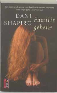 Familiegeheim - D. Shapiro