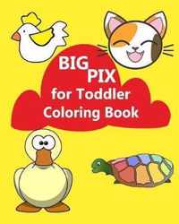 Big Pix for Toddler Coloring Book