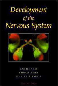 Development of the Nervous System