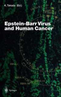 Epstein-Barr Virus and Human Cancer