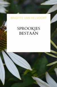 Sprookjes Bestaan - Brigitte van Helvoort - Paperback (9789403605173)