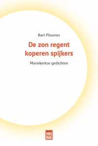 De zon regent koperen spijkers - Bart Plouvier - Paperback (9789464340105)