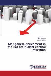 Manganese Enrichment in the Rat Brain After Cortical Infarction