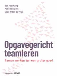 Opgavegericht teamleren - Bob Houtkamp, Cees Anton de Vries, Manon Ruijters - Paperback (9789462763500)