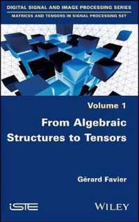 From Algebraic Structures to Tensors