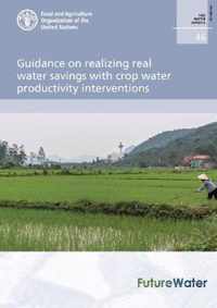 Guidance on realizing real water savings with crop water productivity interventions