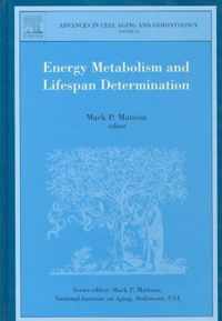 Energy Metabolism and Lifespan Determination