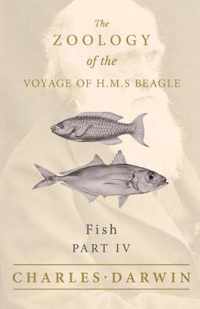 Fish - Part IV - The Zoology of the Voyage of H.M.S Beagle